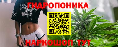 амф Шелехов