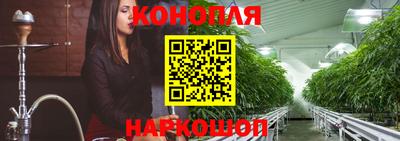 гидра Шебекино