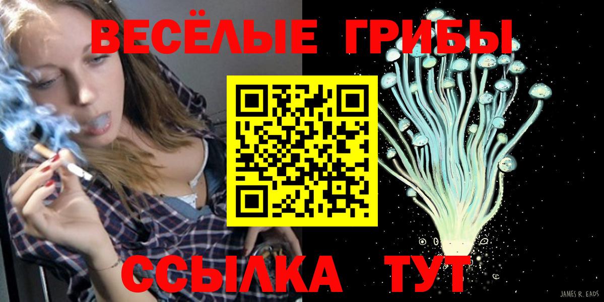 Ступино  Галлюциногенные грибы ЛСД  Псилоцибиновые грибы прущие грибы  Вход с VPN 